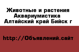 Животные и растения Аквариумистика. Алтайский край,Бийск г.